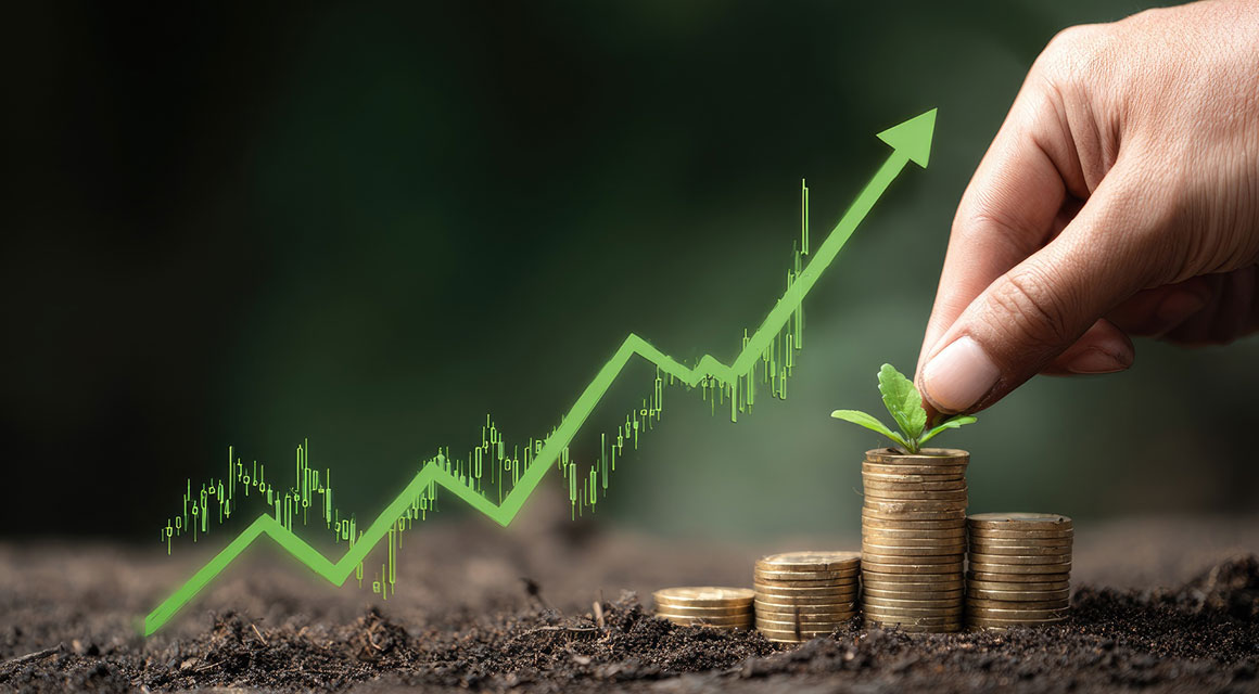 Why Sustainable Growth Matters in Investment Decisions